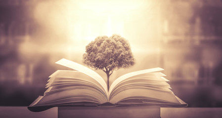 夹江疫情?夹江县应对新型冠状病毒肺炎疫情应急指挥部