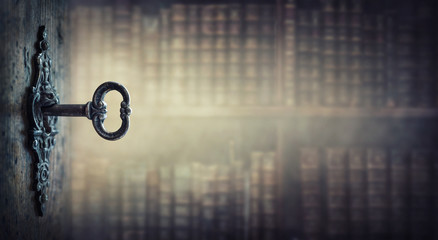 清明节过路费免费吗2024(清明节过路费免费吗2025)