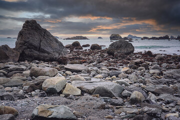16天确诊484例疫情源头在哪[本轮疫情源头确定]