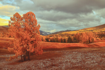 上海增1个高风险38个中风险（上海再有2地升为中风险）